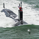 Image for article titled This Dolphin Is The Perfect Chaperone For The Navy's Newest Submarine